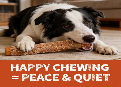 Big Size Chicken Wrapped Beef Hide Dog Chew - Long Lasting Natural Treat for Aggressive Chewers (Medium & Large Dogs) - Perfect for Your Pet!
