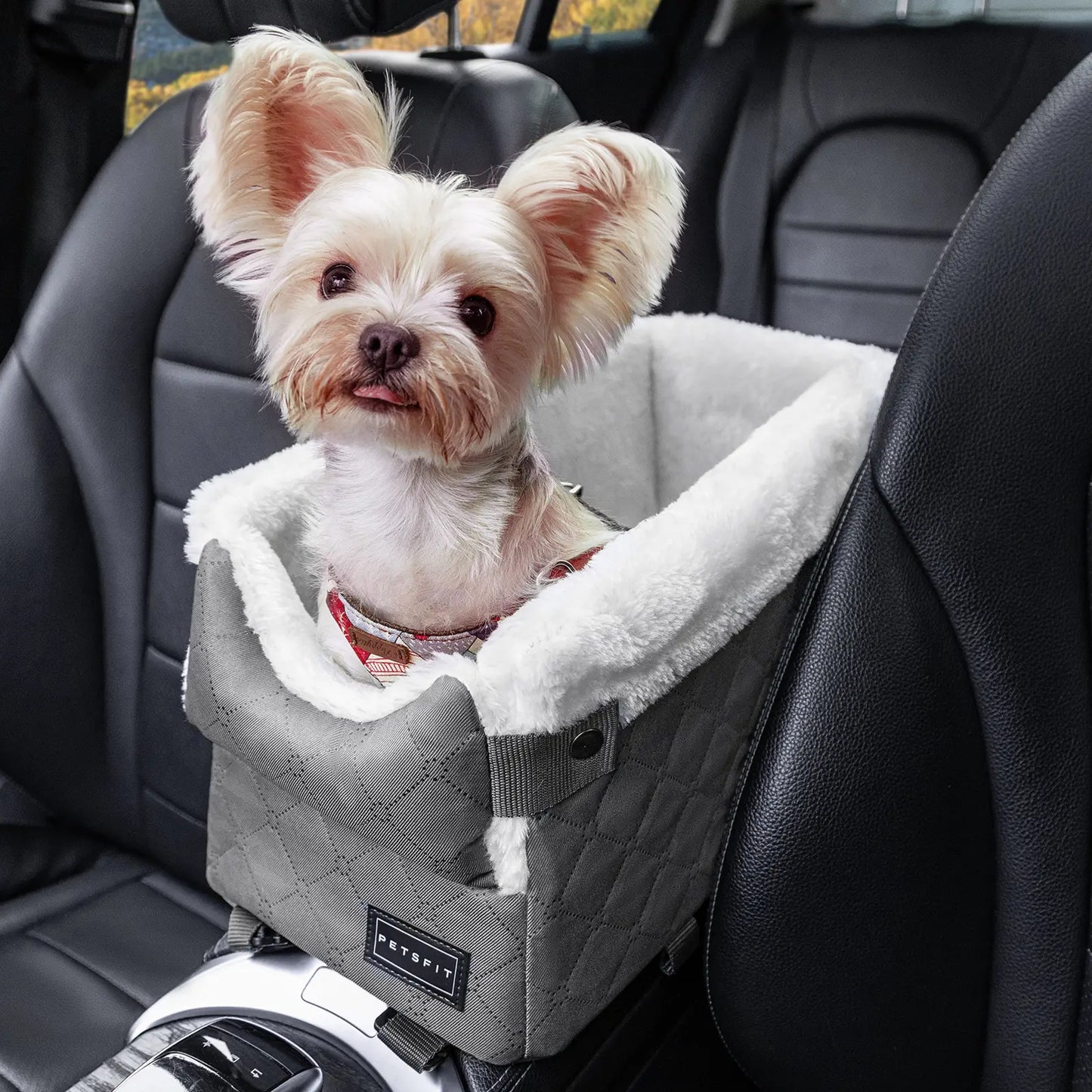 PETSFIT Center Console Dog Car Seat - Enhanced Safety with 5-Year Warranty, Washable Cushion, and Secure Hooks for Small Dogs up to 8 Lbs (Grey)
