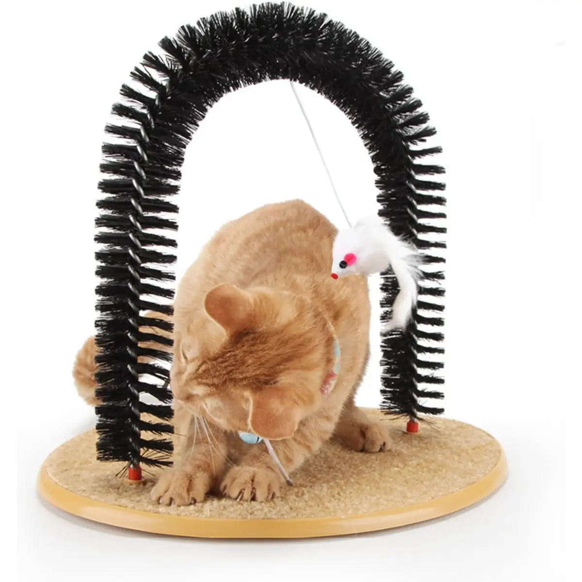 Ultimate Cat Self Grooming Arch with Massage Tips - Reduce Shedding & Stress, Easy to Install, Perfect Gift for Indoor Cats!